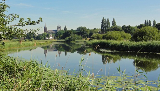 wandelen in de omgeving